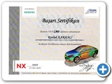 İleri Cad Sertifikası